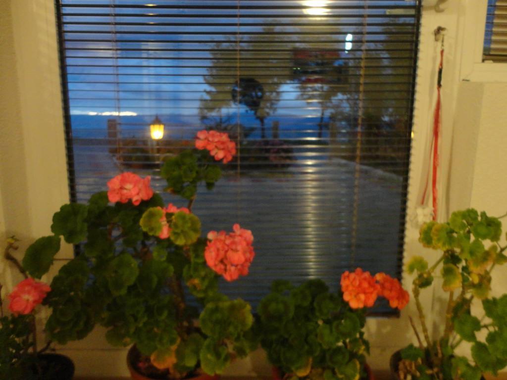 Apartmani Bakule Peštani Екстериор снимка